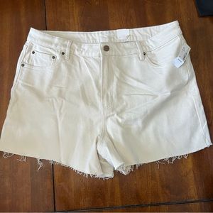 Brand new women’s shorts